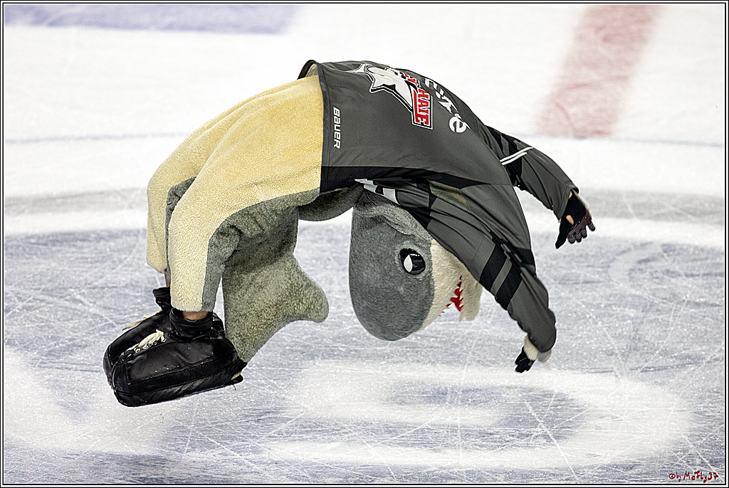 DEL; Koelner Haie - Iserlohn Roosters, 12.10.2018